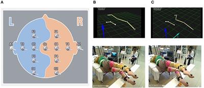 Electrical Spinal Stimulation, and Imagining of Lower Limb Movements to Modulate Brain-Spinal Connectomes That Control Locomotor-Like Behavior